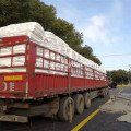 Junzheng Shenfeng Markenpaste PVC-Harz P440 P450